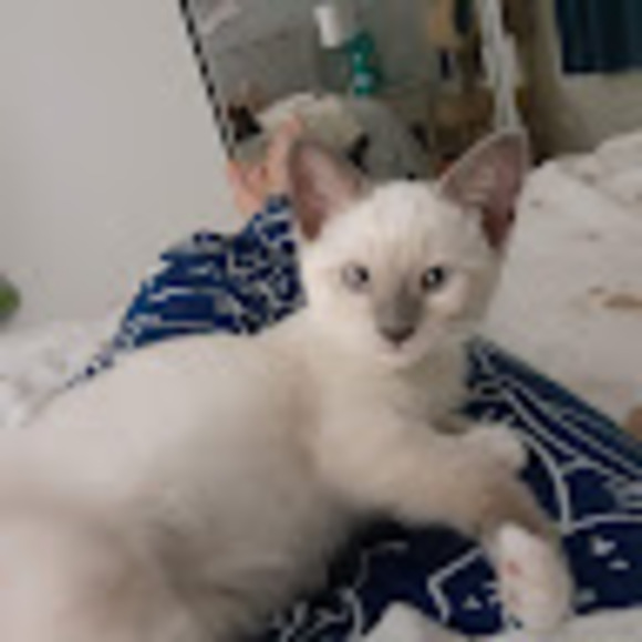 Meet your Posher, Sally - Picture 1 of 1